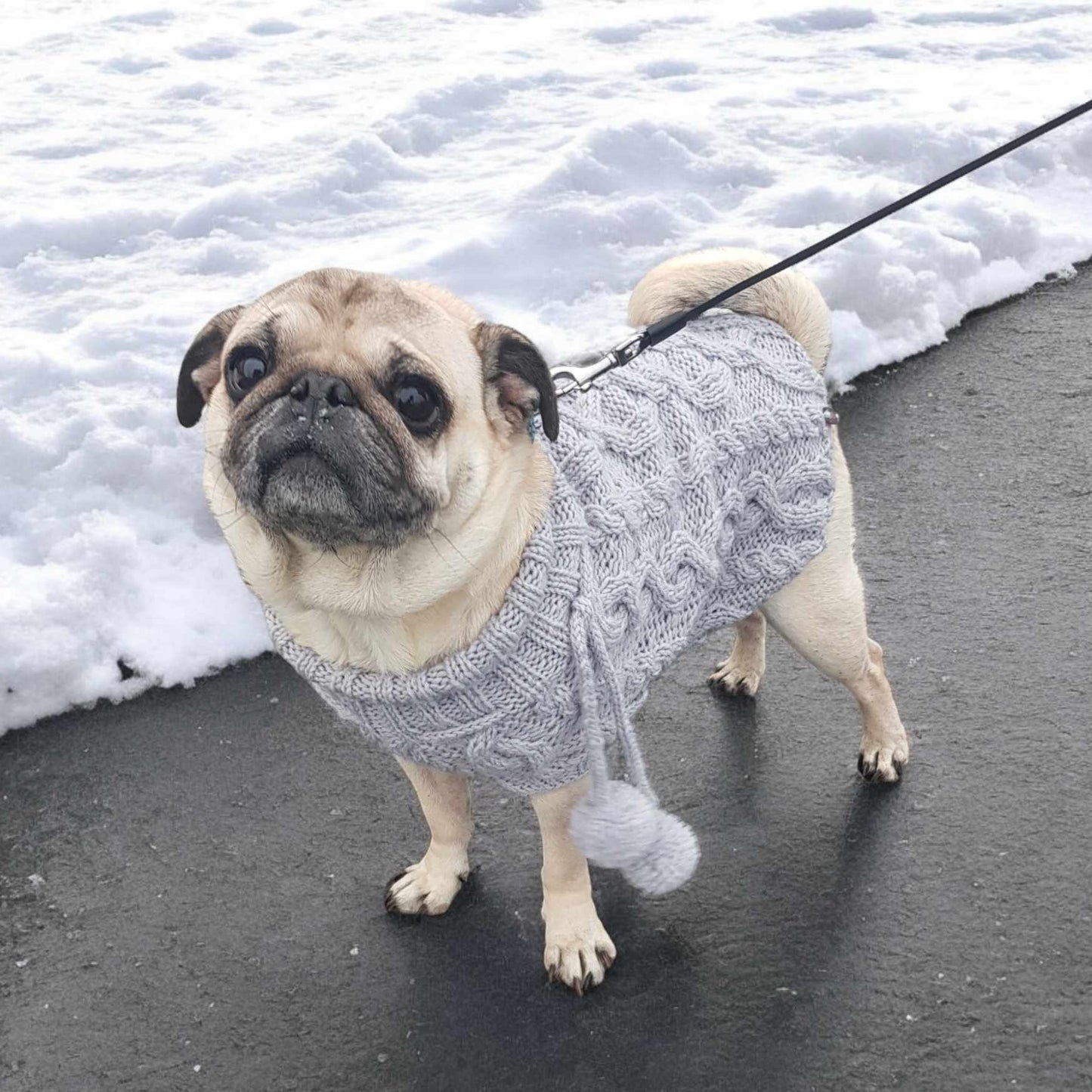 Pawfect Dog Sweater