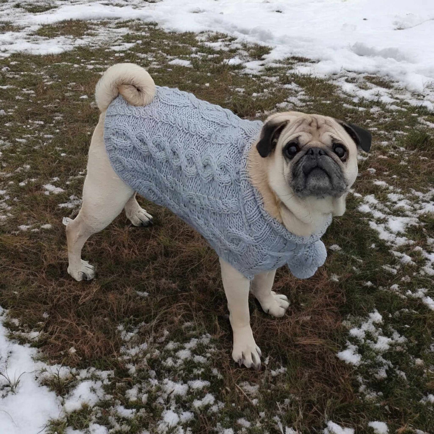 Pawfect Dog Sweater